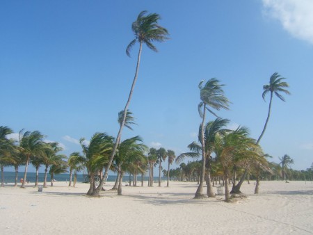 Plage de Key Biscayne